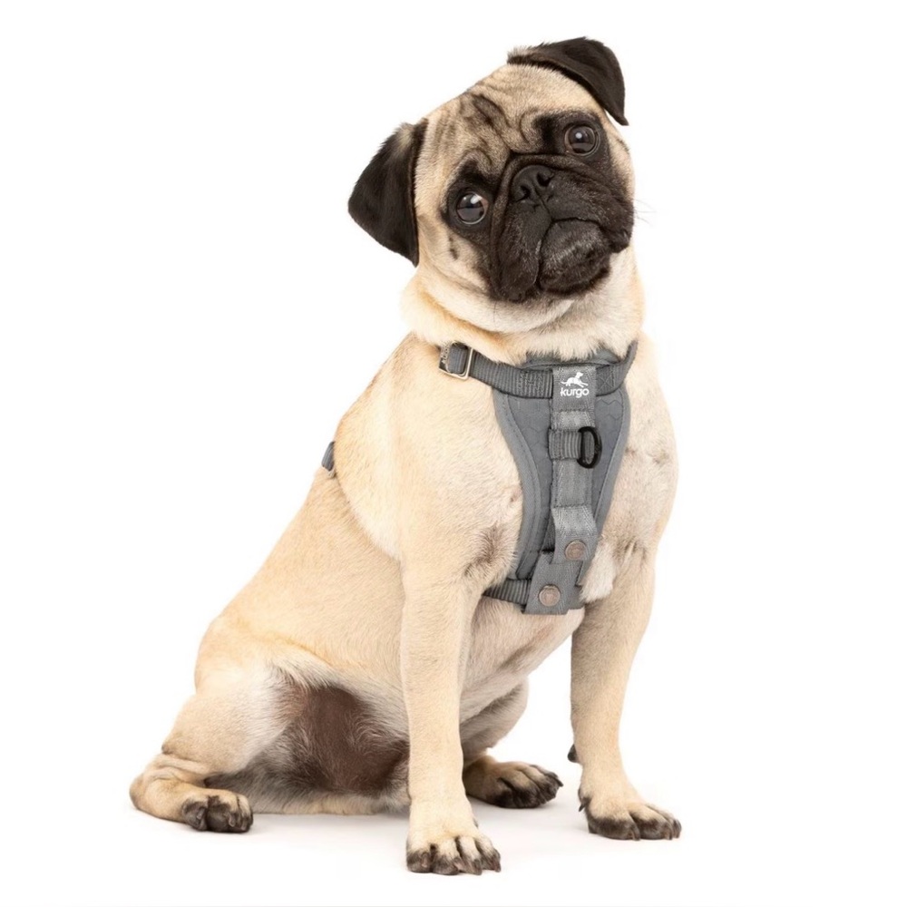 Kurgo Tru-Fit Enhanced Strength Crash Tested Smart Car Dog Harness - Medium